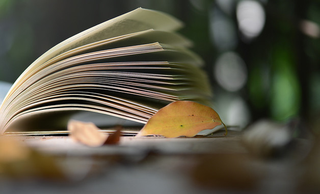 小学数学教学工作总结2025