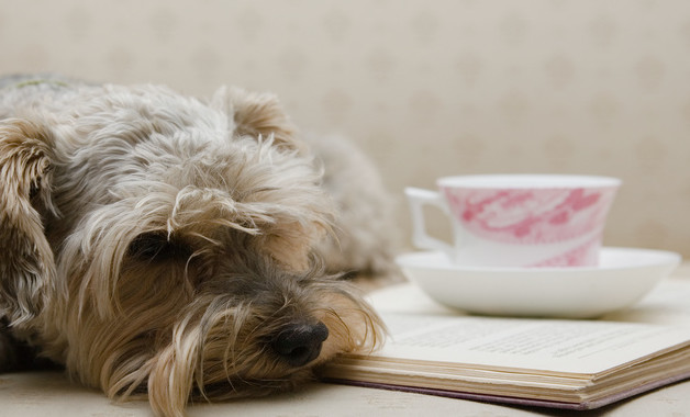 2025乡镇公务员个人年终考核工作总结