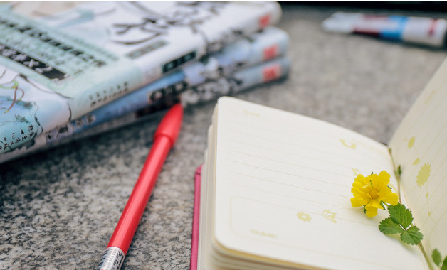 局先进性教育活动工作总结