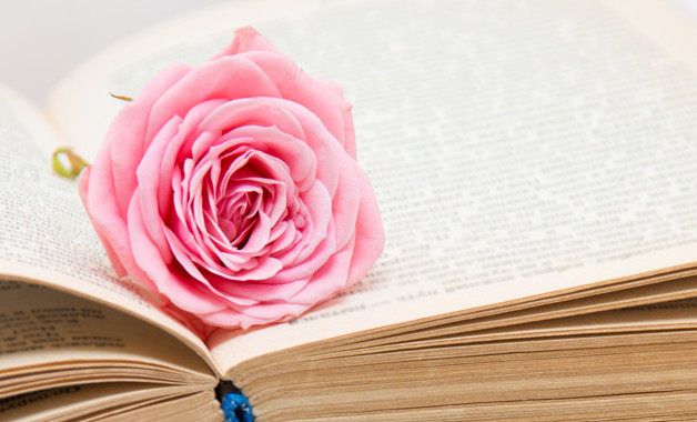 学校办公室2025年工作总结与2025年工作计划