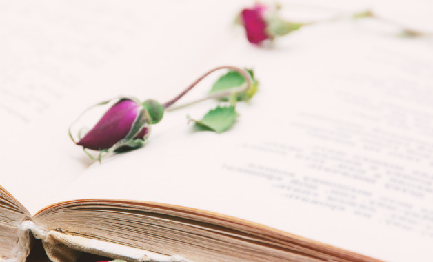 关于小学元旦活动总结