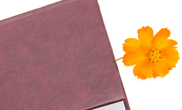 2025年物业客服试用期工作总结