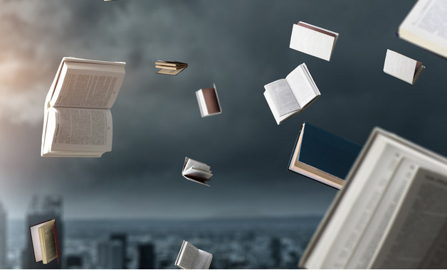 2025学前教育宣传月活动工作总结