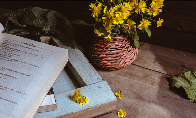 2025年机关公务员年终考核个人工作总结