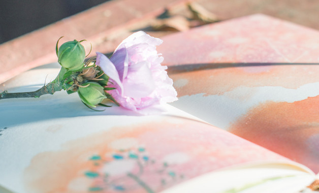 社区重阳节活动总结工作