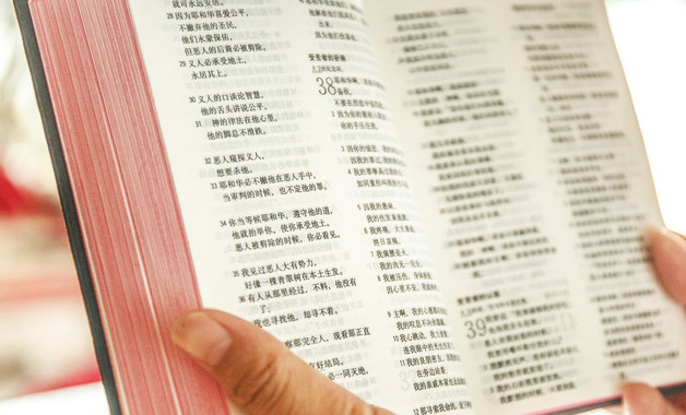 初中生物教师个人工作总结