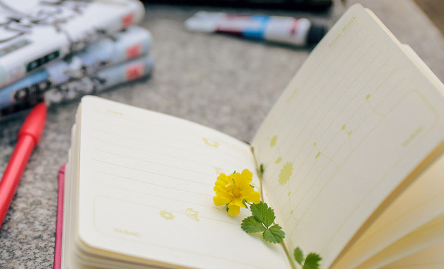 党校培训个人工作总结