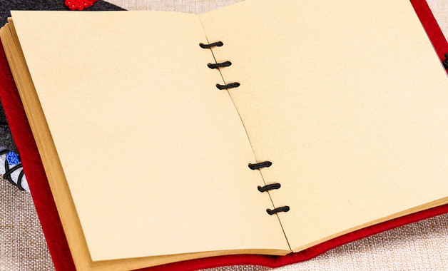 医院会计年终个人工作总结