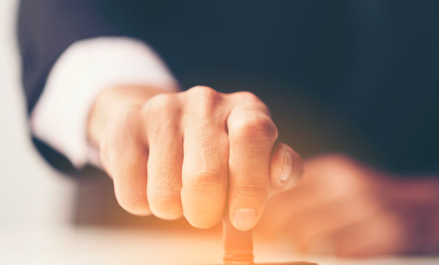 党员志愿者的活动总结介绍