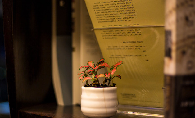 保险员工年终工作总结