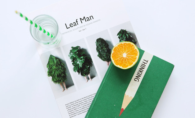 党员志愿者活动总结