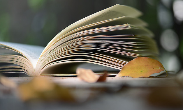 2023社区重阳节活动总结例文参阅