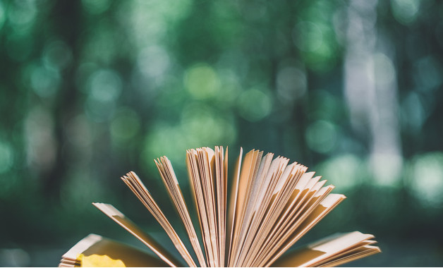 公司员工军训总结