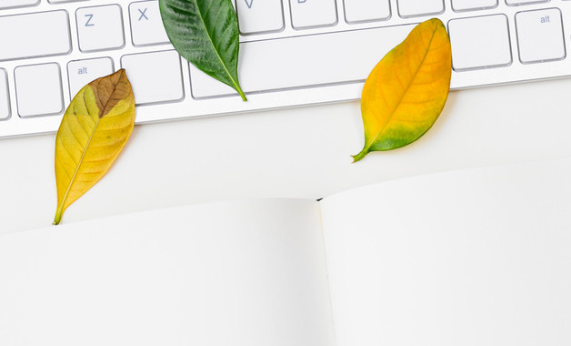 音乐教学工作总结精编