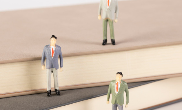 2025年春节元宵活动总结