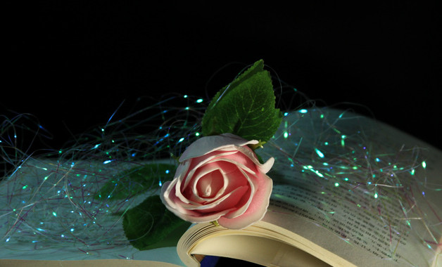 xxxx年小学总务处工作总结