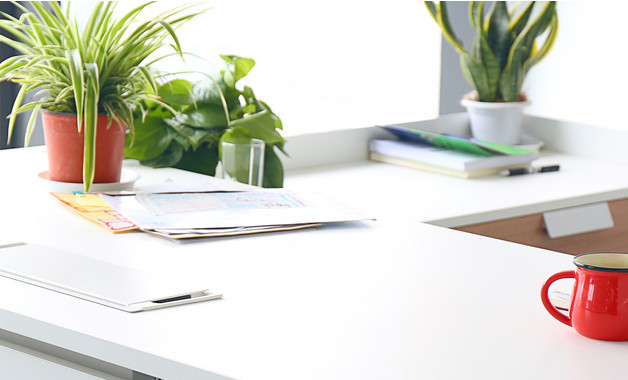 2025年行政主管试用期工作总结