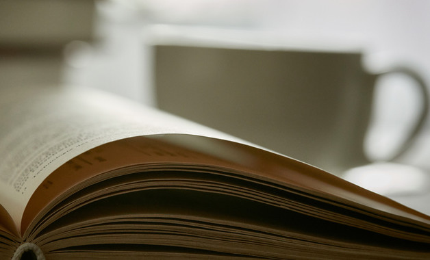 春节的活动总结作文500字