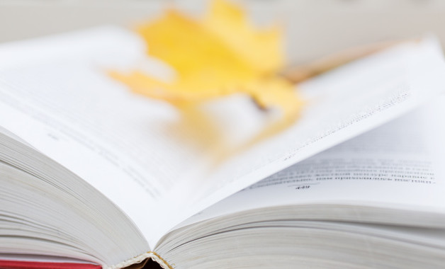 销售管理年度总结报告