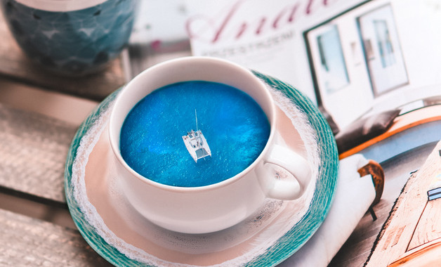 关于党员的志愿者活动总结