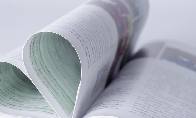 党员年终自我总结鉴定