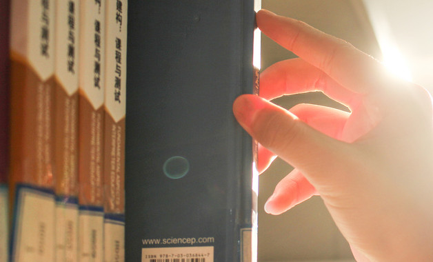 2025年小学学生安全教育日活动总结