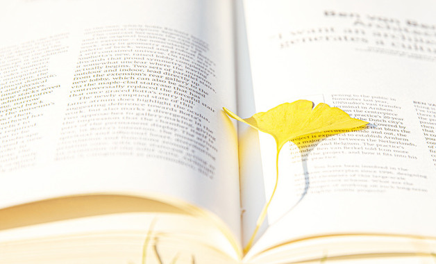 “12.4”全国法制宣传日活动总结