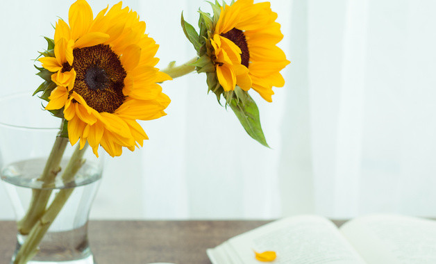 xxxx年英语教学工作总结