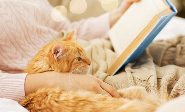 国庆67周年向国旗敬礼网上签名活动总结