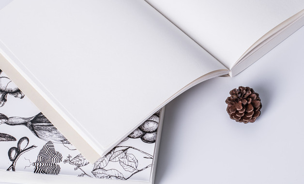 2025年年终公司管理工作总结及年工作打算