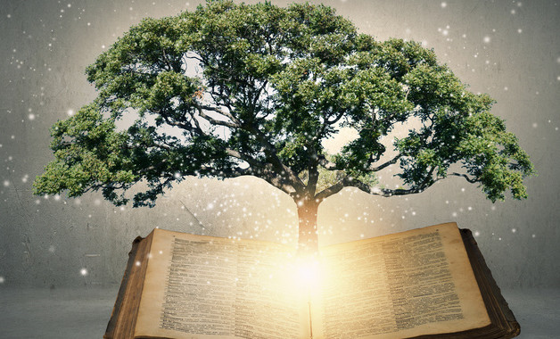 xx党委先进性教育活动工作总结