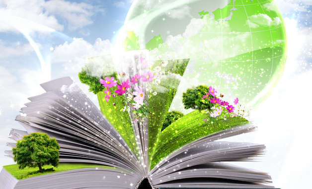 志愿者服务工作总结心得