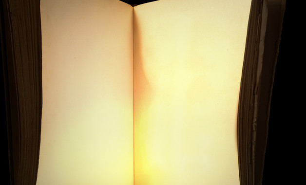 银行党员个人工作总结