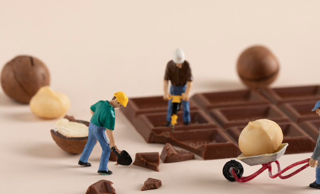 关于校园社团活动的优秀总结