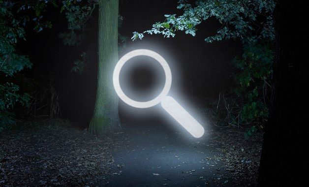 写字教学工作总结