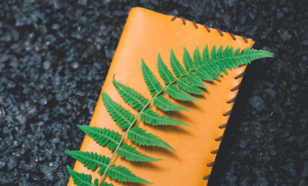 2025乡镇开展7.11世界人口日宣传活动总结