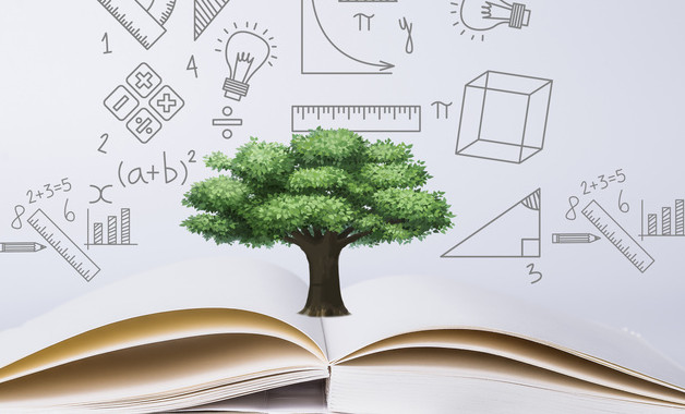 公司办公室年度的工作总结