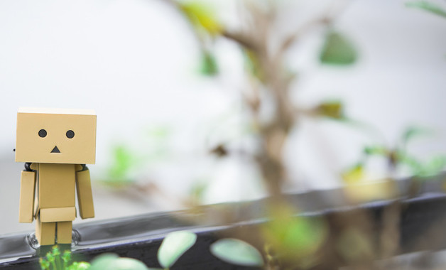 2025公司个人年终总结()