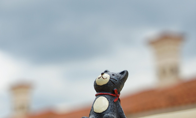 关于圣诞节主题活动总结模板