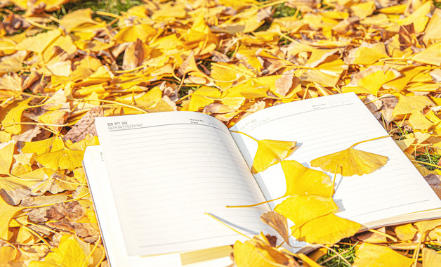 审计局工作总结和计划