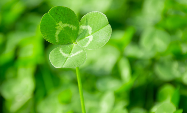 校园教研主题活动总结报告